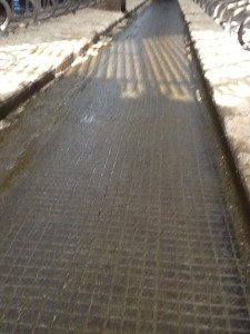 After scraping the yard