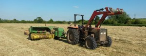 Tafe Tractors UK Distributor SW