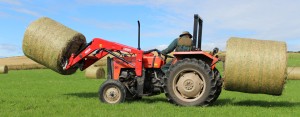 Tafe Tractors UK Distributor SW