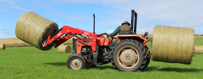 Tafe Tractors UK Distributor SW